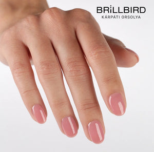 Brillbird Color Rubber Base - 17