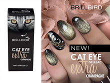 Load image into Gallery viewer, BrillBird Cat Eye Extra - Champagne
